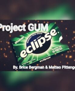 Brice Bergman & Matteo Pittenger – Project Gum (Everything included with highest quality) ( Instant Download )