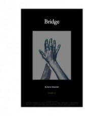 bridge-by-aaron-alexander-200x230-1