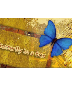 Butterfly In a Box by Mark Presley ( Instant Download )