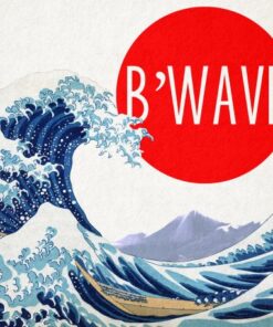Max Maven – B’Wave DELUXE ( Instant Download )