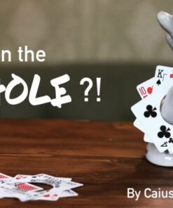 Caius Ferguson – How in the Hole?! ( Instant Download )