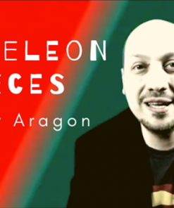 Woody Aragon – The Vault – Chameleon Pieces ( Instant Download )