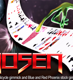 Chosen by Ron Timmer and MFH ( Instant Download )