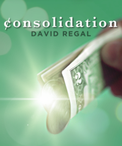 David Regal – Consolidation (Instant Download)