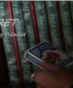 D.Galdot – Secret (Instant Download)