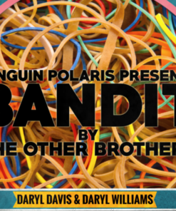 Darryl Davis & Daryl Williams – BANDIT (Instant Download)