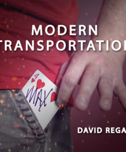 David Regal – Modern Transportation ( Instant Download )