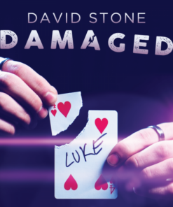 David Stone – Damaged (Instant Download)