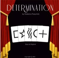 Determination by Federico Poeymiro ( Instant Download )