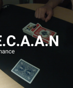 Diogo Viana – B.E.C.A.A.N (Instant Download)