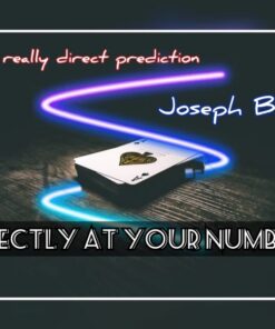 Joseph B. – DIRECTLY AT YOUR NUMBER (Instant Download)