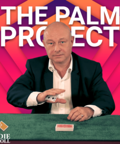 Eddie McColl – The Palm Project (1080p video) Download INSTANTLY ↓ ( Instant Download )