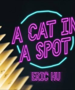 Eric Hu – A Cat in a Spot ( Instant Download )