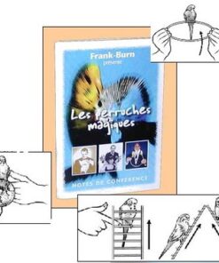 Frank Burn - Les Perruches Magiques ( Instant Download )