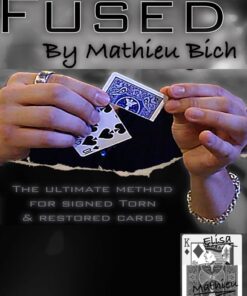 Mathieu Bich – Fused ( French , Instant Download )