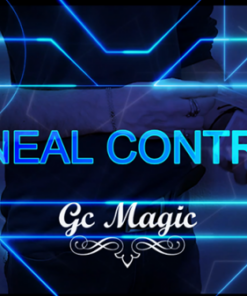 Gonzalo Cuscuna – Linear Control (1080p video) ( Instant Download )