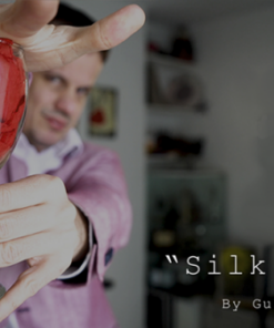 Gustavo Raley – Silk Trip ( Instant Download )
