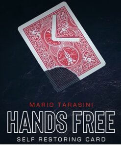 Mario Tarasini & SansMinds Creative Lab – Hands Free ( Instant Download )