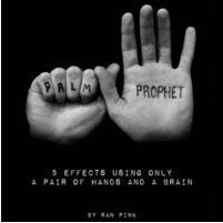 Palm Prophet by Ran Pink ( Instant Download )