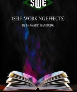 Howard Hamburg - SWE Notes ( Instant Download )