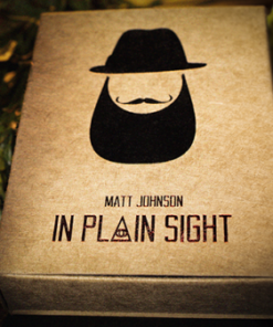 Matt Johnson – In Plain Sight ( Instant Download )
