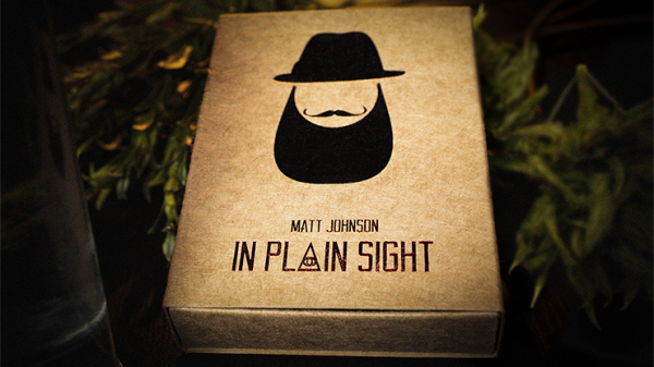 inplainsight-600x337-1