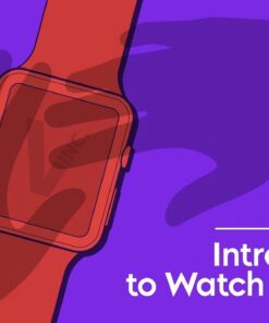 Introduction to Watch Stealing  by Anthony Grupido ( Instant Download )