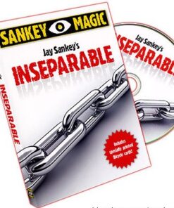 Jay Sankey - Inseparable ( Instant Download )