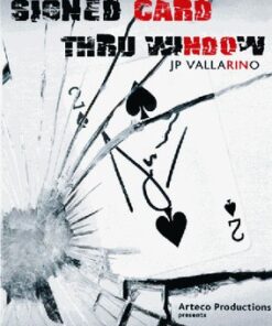 Jean Pierre Vallarino - WINDOW Pro ( Instant Download )