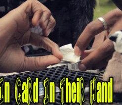 Jibrizy - Coin in Card In Their Hand ( Instant Download )