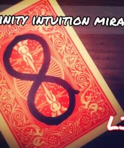 Joseph B. – INFINITY INTUITION MIRACLE (All videos included) ( Instant Download )