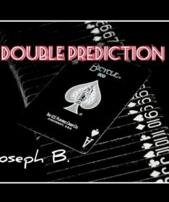 Joseph B. – DOUBLE PREDICTION (Instant Download)