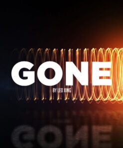 Leo Xing – GONE ( Instant Download )