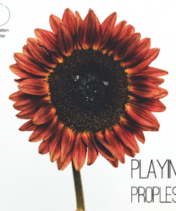 Leonard Rangel & Pablo Amira – Playing Propless (official PDF) ( Instant Download )