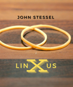 The Vault – Linxus by John Stessel ( Instant Download )