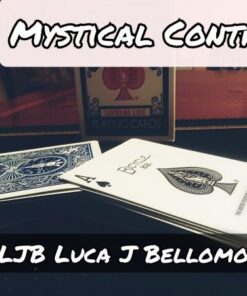LJB – NEW CONTROLS PROJECT – Mystical Controls (All videos included) ( Instant Download )