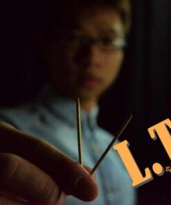 Hui Zheng – LTP – Linking Matches ( Instant Download )