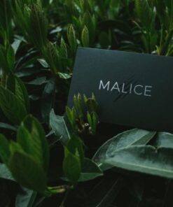 Lost Art Magic – Malice ( Instant Download )