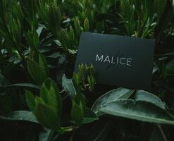Malice by Lost Art Magic ( Instant Download )