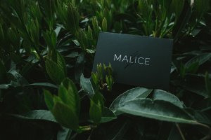 malice20by20lost20art20magic
