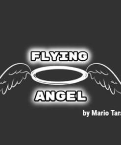 Mario Tarasini – Flying Angel ( Instant Download )