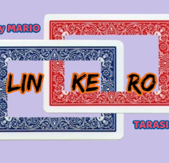 Mario Tarasini – Linkero (FullHD quality) ( Instant Download )