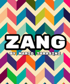 Mario Tarasini – Zang ( Instant Download )