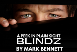 Mark Bennett - Blindz ( Instant Download )