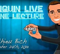 Mathieu Bich Penguin Live ( Instant Download )