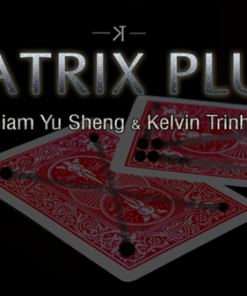 Chiam Yu Sheng & Kelvin Trinh – Matrix Plus ( Instant Download )