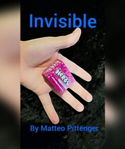 Matteo Pittenger – Invisible ( Instant Download )