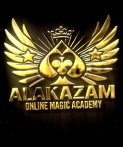 Alakazam Online Magic Academy ( Instant Download )