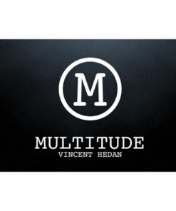 Vincent Hedan and System 6 – Multitude ( Instant Download )