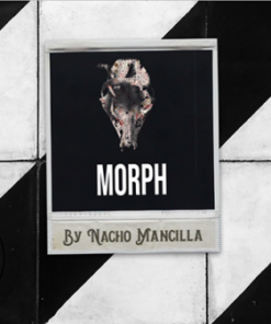 Nacho Mancilla – The Vault – Morph (1080p videos + all additional files) ( Instant Download )